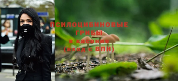 стафф Белоозёрский