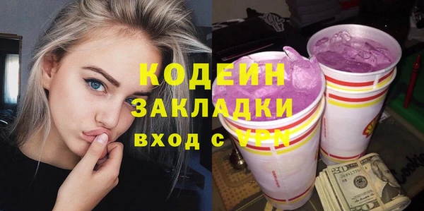 молекула духа Богородицк