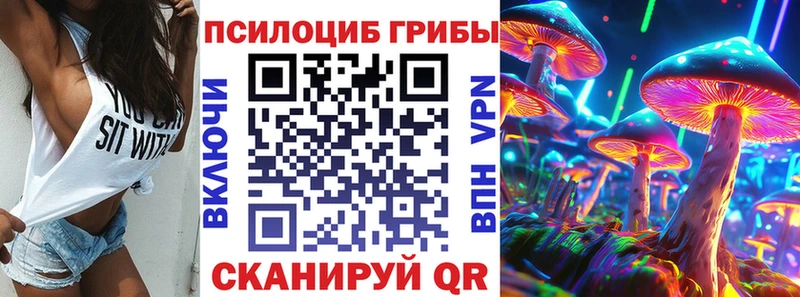 купить наркоту  Светогорск  Галлюциногенные грибы MAGIC MUSHROOMS 
